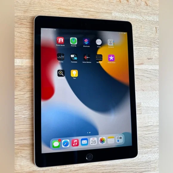 Apple iPad Pro 1st Gen. 256GB, 9.7in